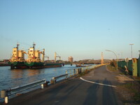 Kleiner Grasbrook heute - Blick auf die Elbbr&uuml;cken